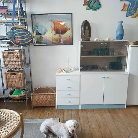 Relax E Atmosfera Di Mare Апартаменты Споторно